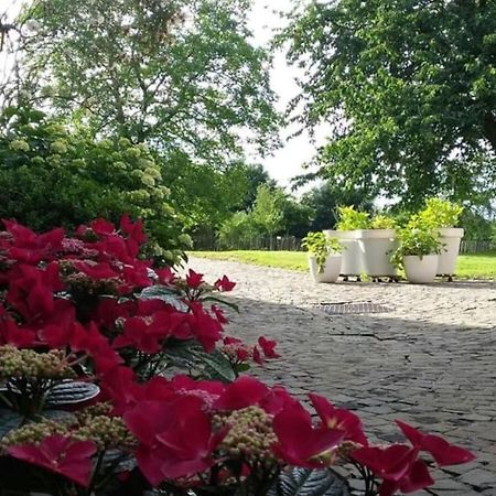 Country House Clos Des Hortensias Blegny Exterior photo