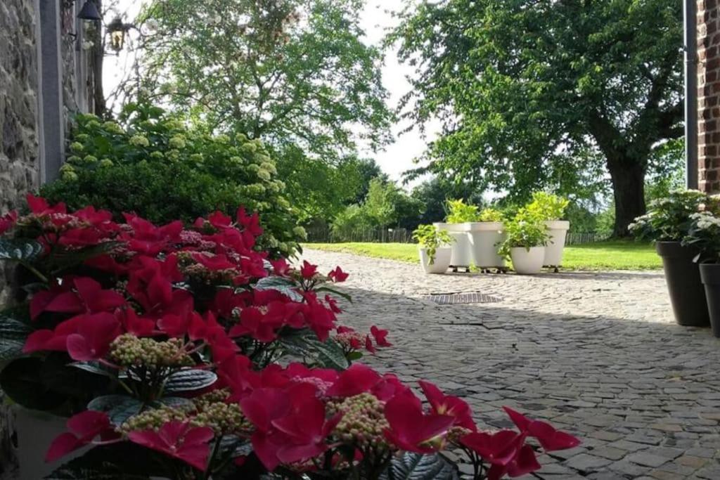 Country House Clos Des Hortensias Blegny Exterior photo